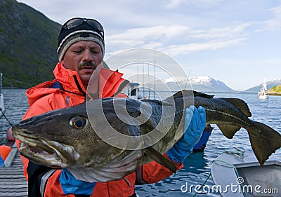 Fisherman holding Cod Stock Photo