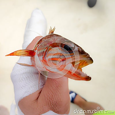 Fisherman holding fish in a boat Stock Photo