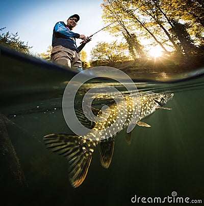 Fisherman and pike, underwater view. Stock Photo