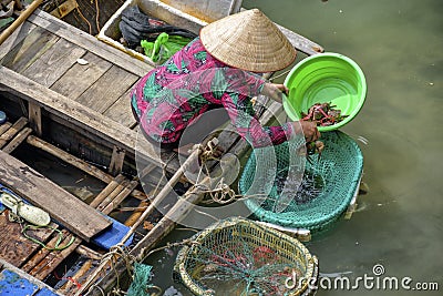 Fisherman's, woman in Vietnam Editorial Stock Photo