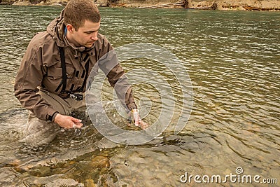 A fisherman watches a chum salmon swim away, after being released back into the river Stock Photo