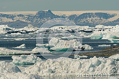 Fishermen check their spots among the icebergs in Disko Bay, Ilulissat, Greenland Stock Photo