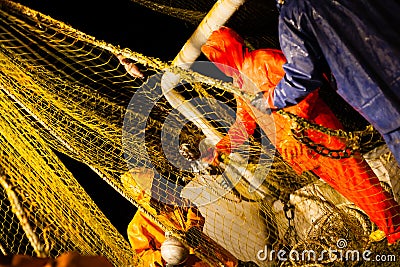 Fishermen choose a trawl with fish aboard Stock Photo