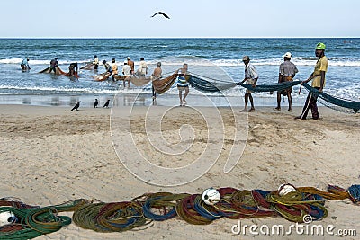 Fishermen drag a large fishing net onto the beach. Editorial Stock Photo