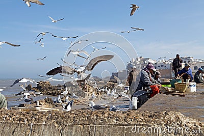 Fishermen at the Essaouira fortified city Editorial Stock Photo