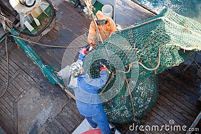 Fishermen lifted a trawl with fish aboard Stock Photo