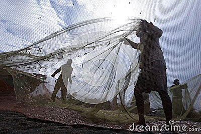 Fishermen remove fish from their nets after returning from a nights fishing off Negombo in Sri Lanka. Editorial Stock Photo