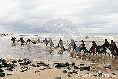Fishermen taking the big net to the colony Editorial Stock Photo