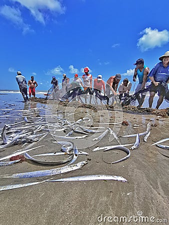 Fishermen taking net and fish from the sea at Lucena beach, ParaÃ­ba, Brazil Editorial Stock Photo