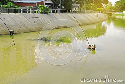 Fishermen using square nets called Yo to catch fish,Fishermen are catching fish with yo.Thailand local. Stock Photo