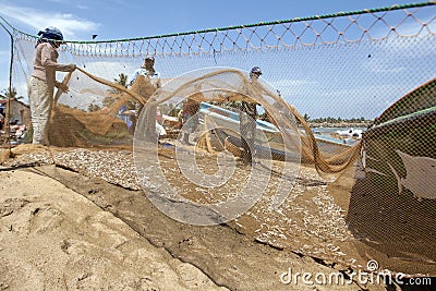 Fishermen and women sort fish from their nets on the beach at Negombo in Sri Lanka. Editorial Stock Photo