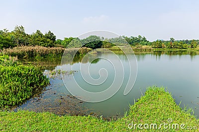 Fishery wetland Stock Photo