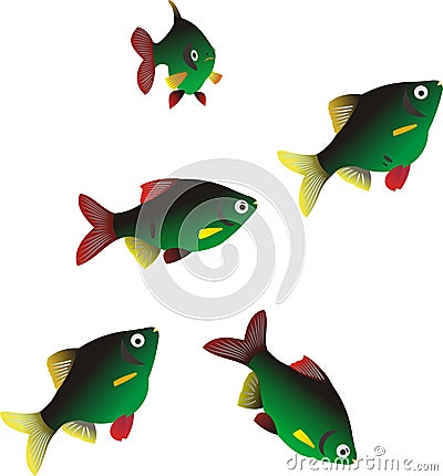 Fishes Stock Photo