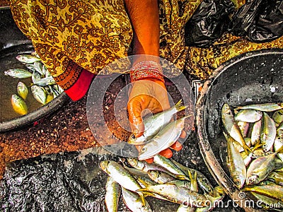 fishes in a market Stock Photo