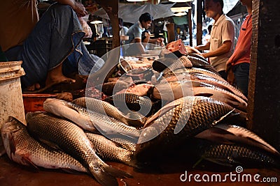 Fishes are for Selling in the Local Market Editorial Stock Photo