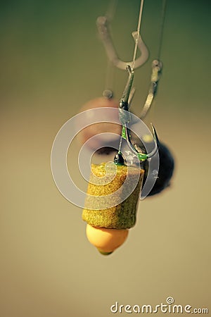 Fishhooks on line on blurred background Stock Photo