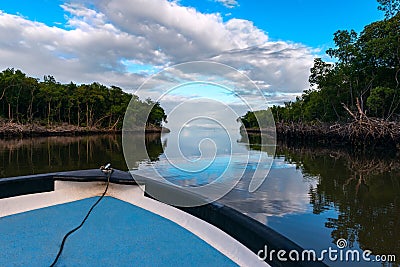 FishiBoat ride Caroni Swamp Trinidad and Tobago river mouth Stock Photo