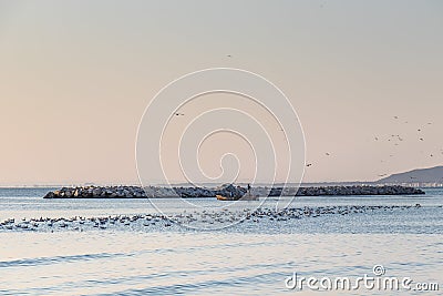 Fishing Adventures: Fisher in Small Boat at Sea in Tunisia Stock Photo