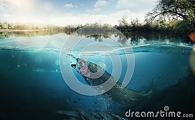 Fishing background Stock Photo