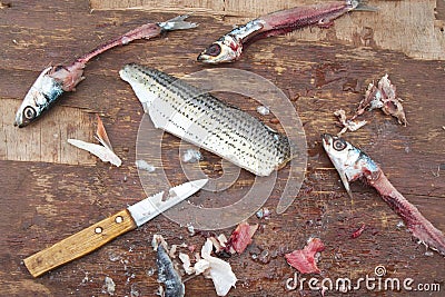 Fishing Bait Stock Photo