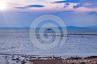A Fishing Boat on Cold Clyde Waters from Largs in Scotland Stock Photo