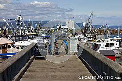 Fishing boats at homer, alaska Editorial Stock Photo