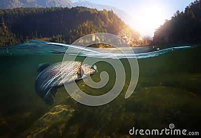 Fishing. Close-up shut of a fish hook under water Stock Photo