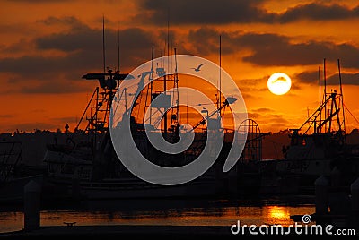 Fishing Fleet Editorial Stock Photo