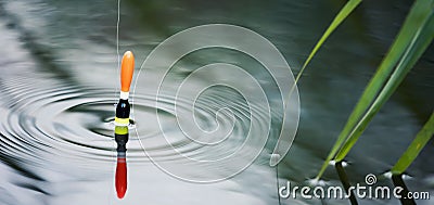 Fishing float floating in the pond water. copy space Stock Photo