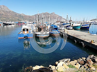 Fishing Harbour Hout Bay Editorial Stock Photo