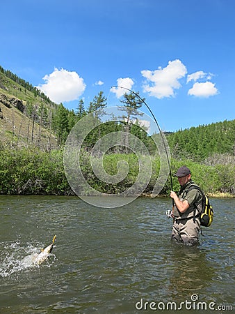Fishing - lenok trout Stock Photo