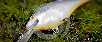 Fishing lure plug Rapala Shar Rap SSH colour Stock Photo