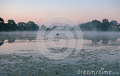 fishing in the morning Stock Photo