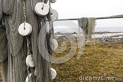 Fishing net is dried on wooden stanchions Stock Photo