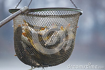 Fishing pond Stock Photo