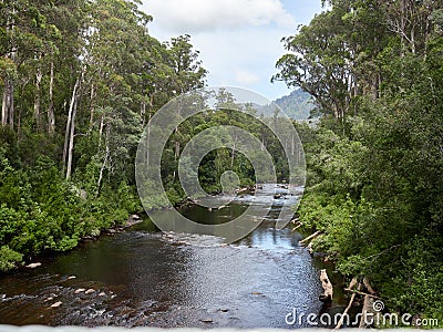 Fishing river in Tasmania Australia Stock Photo