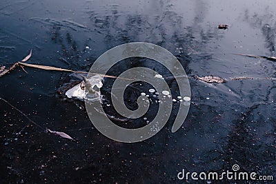 fishing stick in the ice river in early winter. There is some reed on a backgroung of the blue ice with air bubbles Stock Photo