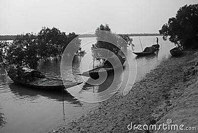 Fishing at Sundarban, India Editorial Stock Photo