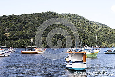 Fishing and tourism boats docked at the pier in several sizes and colors on the coast of SÃ£o Paulo Editorial Stock Photo