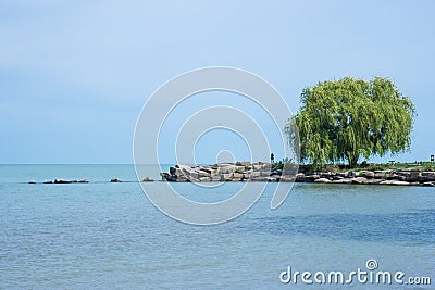 Fishing By The Willow Tree Stock Photo