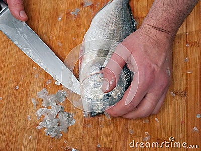 Fishmonger cleaning raw uncooked sea bream on wooden board with sharp knife. Scales on the board, belly cutting stage Stock Photo