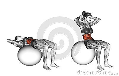 Fitball exercising. Ball Crunch. Female Stock Photo