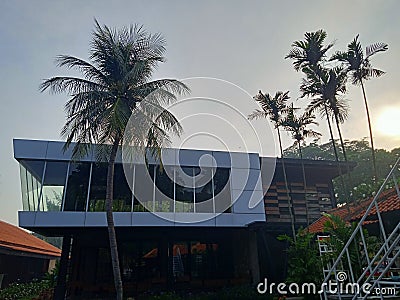 Fitnes building and the coconut tree Stock Photo