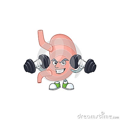 Fitness exercise stomach cartoon character using barbells Vector Illustration