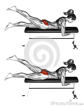 Fitness exercising. Alternate Leg Reverse Hyper. Female Stock Photo
