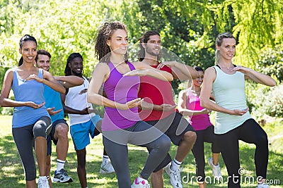 Fitness group doing tai chi in park Stock Photo