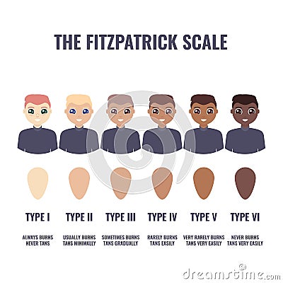 Fitzpatrick skin type classification scale in men Vector Illustration