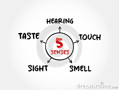 Five basic human senses: touch, sight, hearing, smell and taste, mind map concept for presentations and reports Stock Photo
