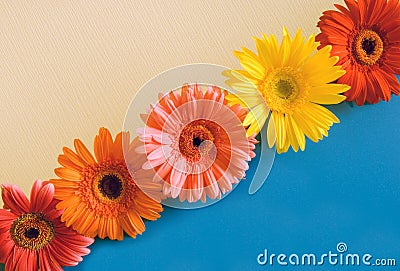 Five bright colours on a diagonal Stock Photo