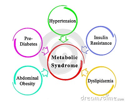 Causes of Metabolic Syndrome Stock Photo